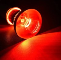led infrared1